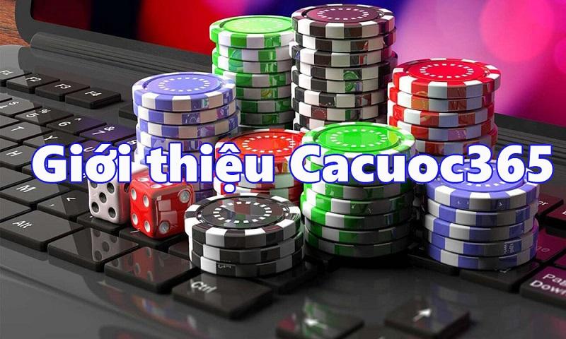Khám phá cách chơi game private mobile và trải nghiệm game private mobile đỉnh cao trên điện thoại