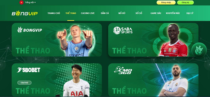 Hướng dẫn tạo Garena nhanh chóng và bảo mật để chơi game Garena hiệu quả